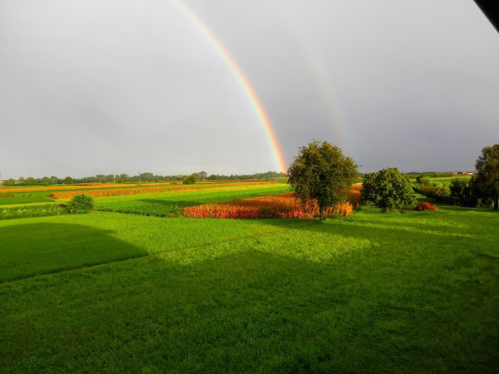 Povoletto Agriturismo Cjargnei Bed & Breakfast エクステリア 写真